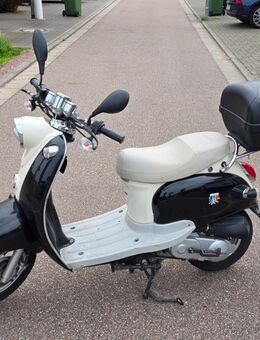 Benzhou Motorroller Scooter Roller 50 ccm - Erstbescheinigung Oktober 2015 - Ettenheim