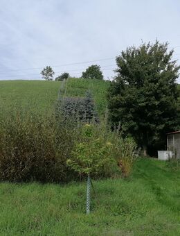 Kleiner Rebberg zu verkaufen - Würenlingen