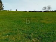 BAUEN AUF ERWEITERBARER FLÄCHE - Balesfeld