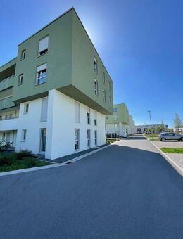 Wohnung 3-ZimmerWhg I. OG rechts - Bamberg
