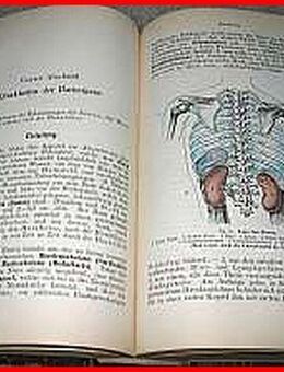 HOMÖOPATHISCHE PRAXIS (von 1901) - Köln