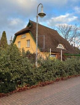 Reetgedecktes Landhaus auf großem Grundstück in 18375 Ostseebad Prerow - Prerow (Ostseebad)