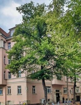 Sehr gepflegte, helle Drei-Zimmer Wohnung mit besonderem Schnitt - Leipzig