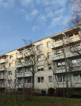 Vermietete Wohnung in guter Lage - Greifswald