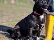 Raven das perfekte kleine Mädchen - Overath