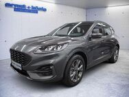 Ford Kuga 2.5 Duratec PHEV ST-LINE PDC SHZ NAVI - Freiburg (Breisgau)