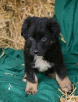 ASKO - kommt ihr mit mir mit entdecken? - Overath