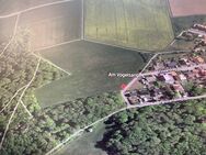 Bauerwartungsland bzw. landwirtschaftliche Nutzung ca. 32.155 m² in Homberg/Efze Welferode, nähe A7 - Homberg (Efze)