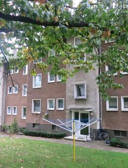 WWS - niedliche Singlewohnung im Herforder Osten - - Herford (Hansestadt)