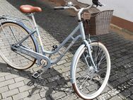 Citybike Triumph Alu Classic - Gau-Bischofsheim