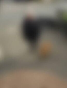 Dor*** - Bad Driburg