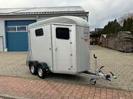 Pferdetransporter Pferdeanhänger Böckmann Portax Esprit 2,4t Trailer Paardentrailer Horsetrailer - Unterschneidheim