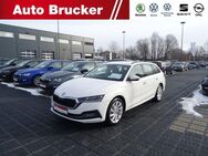 Skoda Octavia Combi First Edition 1.5 TSI Navi Canton LED ACC - Marktredwitz