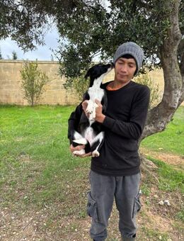 Mini Naomi auf der Suche - Berlin