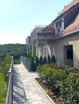 Brombachsee Top-Wohnung m. Terr. und Garten - Spalt