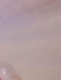 Brautkleid - Goslar Ohlhof