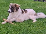 Ozora sucht ihre Herzensmenschen! - München
