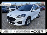 Ford Kuga, 2.0 EcoBlue ST-Line X PSD, Jahr 2022 - Bad Berleburg