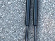 2 Gasdruckdämpfer neu - Aschheim