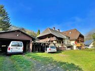 Großzügiges Bauernhaus mit großem Grundstück und einzigartigem Blick - Todtnau