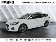 Ford Focus, 2.0 EcoBlue ST-Line Business, Jahr 2019 - Ahrensfelde