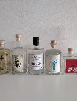Gin Konvolut ungeöffnet - Paderborn