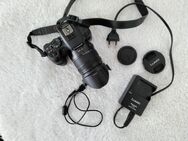 Camera Panasonic - Kritzmow