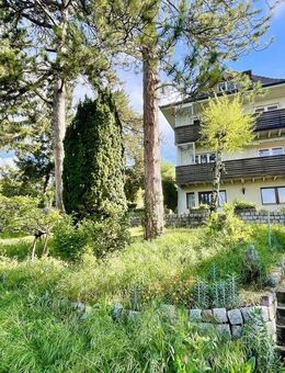 Bestandshaus mit großem Garten und zusätzlichem Baugrundstück mit traumhafter Aussichtslage - Weil (Rhein)