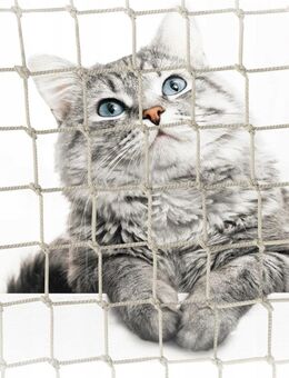 BALKONNETZ FÜR Katzen 5x2m OHNE BOHREN Katzennetz - Wuppertal