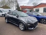 Ford Puma ST-Line Vignale LED/PANO/NAVI/WINTER/LEDER - Milower Land