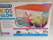 Kids Glow 30 Liter Aquarium - Buchholz (Westerwald)