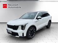 Kia Sorento, 2.2 CRDi Platinum AWD, Jahr 2024 - Elsterwerda