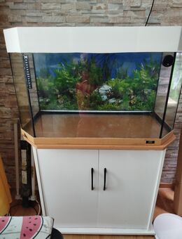 Aquarium mit Unterschrank - Apolda