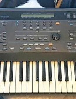Profi Keyboard Roland E86 - Glashütten (Hessen)