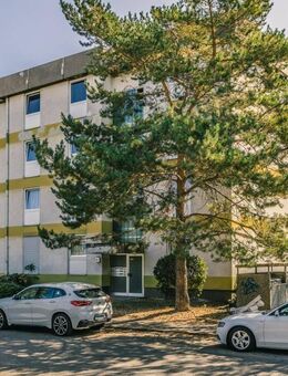 3-Zimmer-Wohnung in Worms - Worms