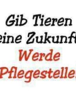 DRINGEND PFLEGESTELLEN GESUCHT !!! - Gelnhausen