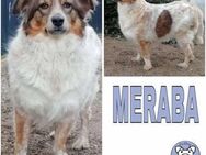 MERABA -Harn- und Stuhlinkontinent- - Duisburg