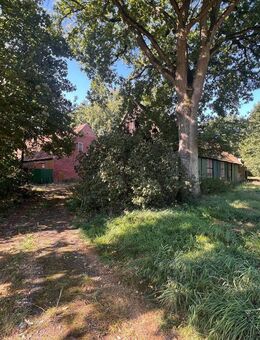 Resthof in guter Lage mit Dauergrünland, auch teilbar - Ladbergen