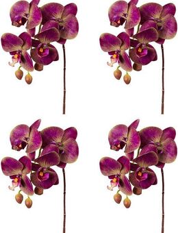 Kunstorchidee Orchidee Phalaenopsis Orchidee, Creativ green, Höhe 44 cm, mit real-touch-Blüten