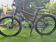 Jugend MTB BULLS Raptor - Neunkirchen (Brand)
