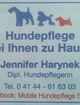 Mobile Hundepflege Stade - Oldendorf (Niedersachsen)