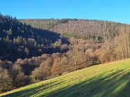 Voll erschlossenes & teilbares Baugrundstück in Eberbach - Friedrichsdorf ! - Eberbach