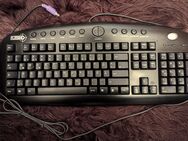 Tastatur Sharkoon Rush (Gaming) - Hamburg