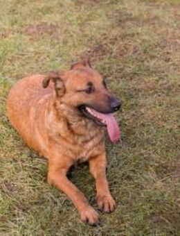 GABI - spielen macht das Glück perfekt - Overath