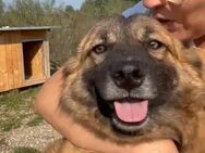 ❤️Flotter Rem sucht Spaß&Liebe❤️ - Eislingen (Fils)