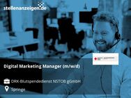 Digital Marketing Manager (m/w/d) - Springe