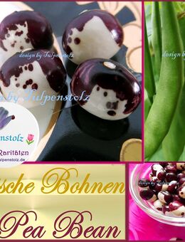 ♥ Inca Pea Bean Alte Bohnen Sorte, gemustert Rarität,Gemüse Tulpenstolz,Glücksbohne,Reiserbohne,Selten,weinrot,Samen,Saatgut - Hamburg