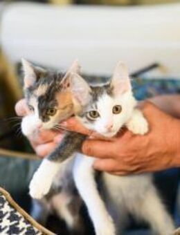 Feather und Cindy - Grevenbroich