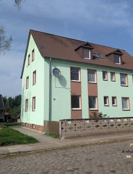 Ruhig gelegene 3-Raumwohnung im Hochparterre mit Gartennutzung - Bitterfeld-Wolfen