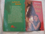 Ein Pferd als Belohnung Eleanor Jones - Friedrichsdorf